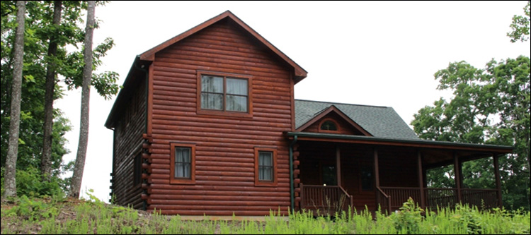 Professional Log Home Borate Application  Fairfax City, Virginia